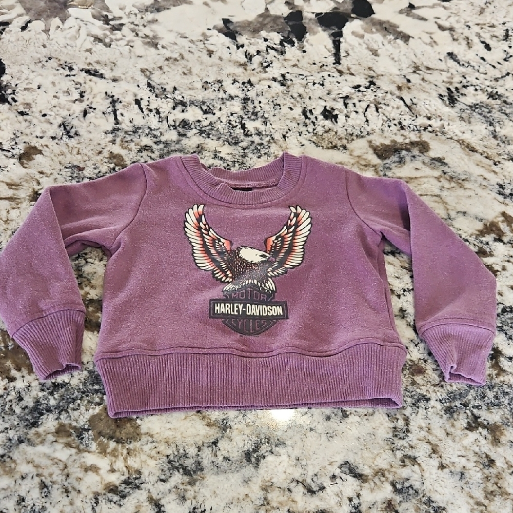 2/$10 Harley-Davidson Toddler Sweatshirt